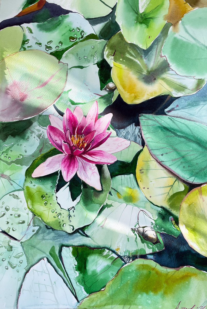Photorealistic Botanical Watercolour By Ksenia Astakhova, 15 X 22", Water Lily From Geneva, Original Artwork
