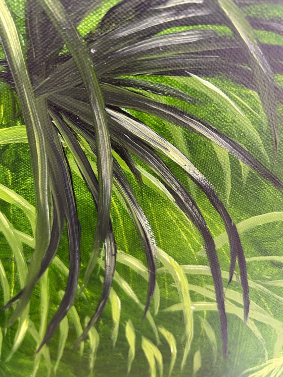 Through the Palms