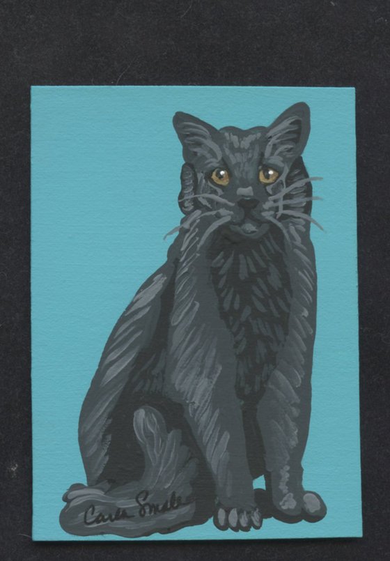 Black  Cat