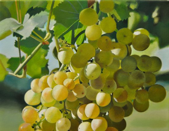 Grapes