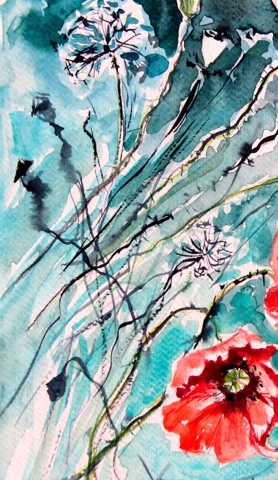 Playful poppy flowers