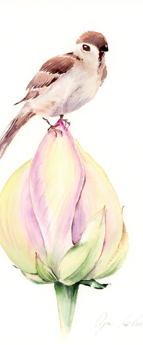 Jay Bird on  a yelow bud by Olga Koelsch