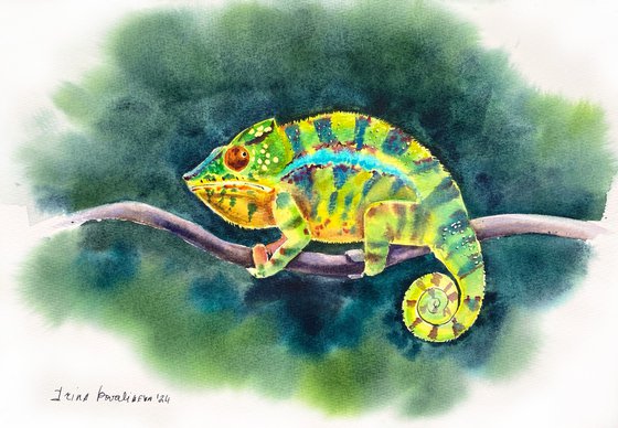 Colorful Chameleon