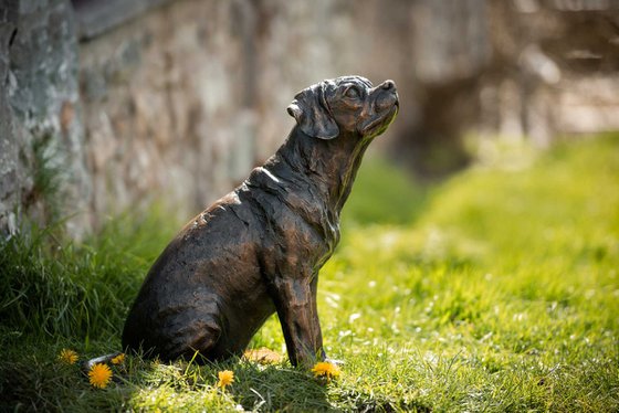 Sitting Puggle FB