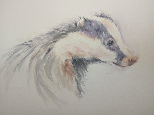 Badger by Sue  Green