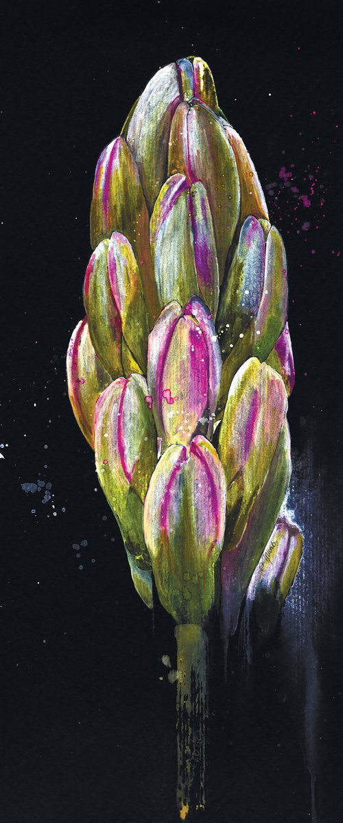 His Royal Highness Hyacinth From Keukenhof by Alona Hryn