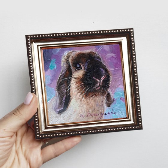 Rabbit portrait