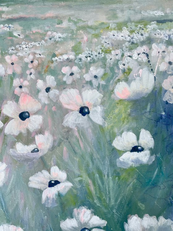 White poppy meadow