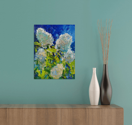 " Hydrangeas "
