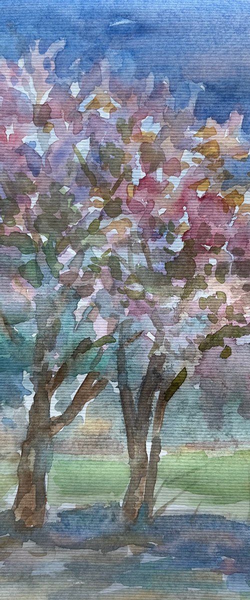 Sakura tree in bloom, original watercolour artwork by Roman Sergienko