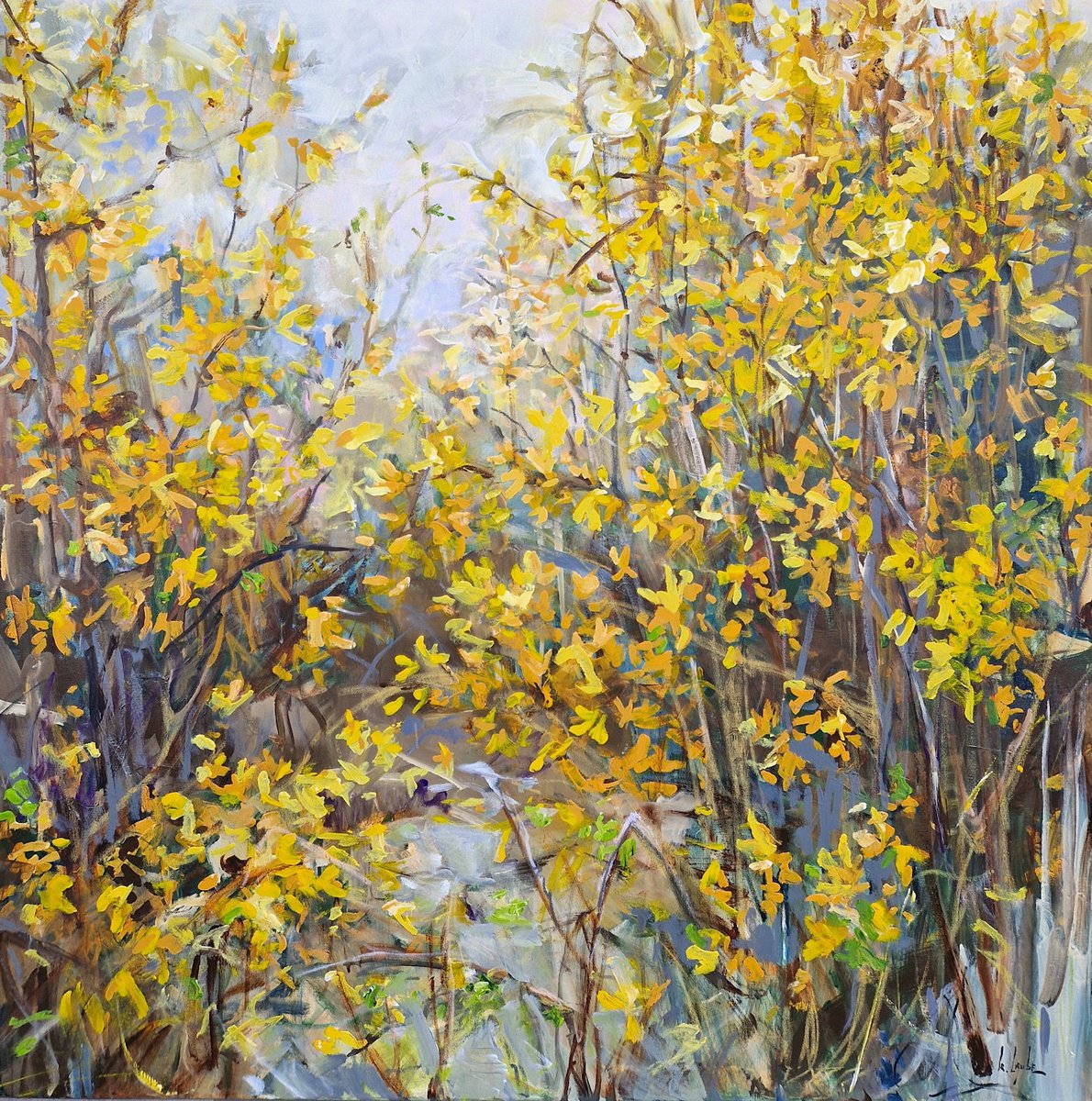 Impressionistic Landscape Acrylic Painting By Irina Laube, 39 X 39, Blooming Forsythia, Original Artwork