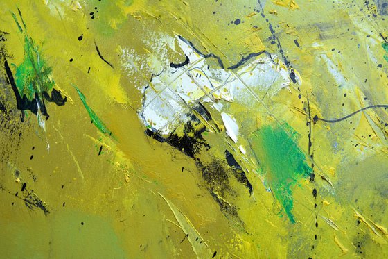 Green grass  - 8823
