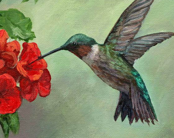 Hummingbird Happiness