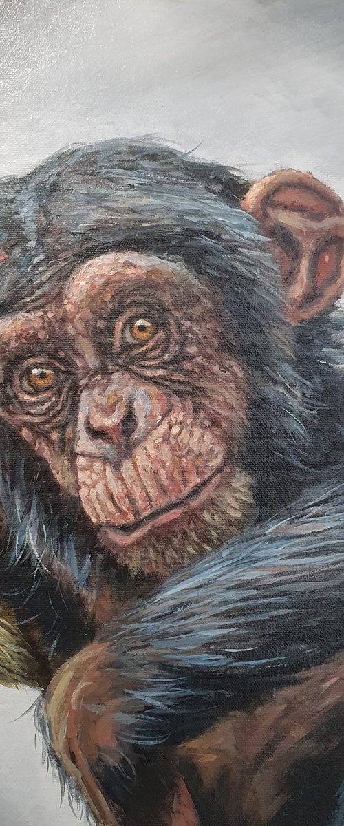 Timeless Eyes by Joseph  Charman