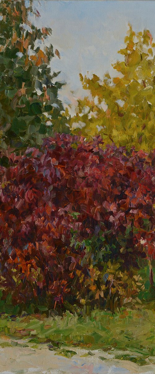 Autumn, red bush by Vachagan Manukyan