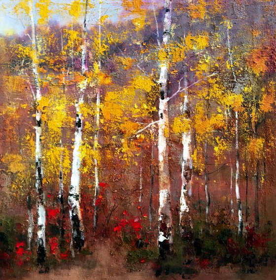 White birch forest