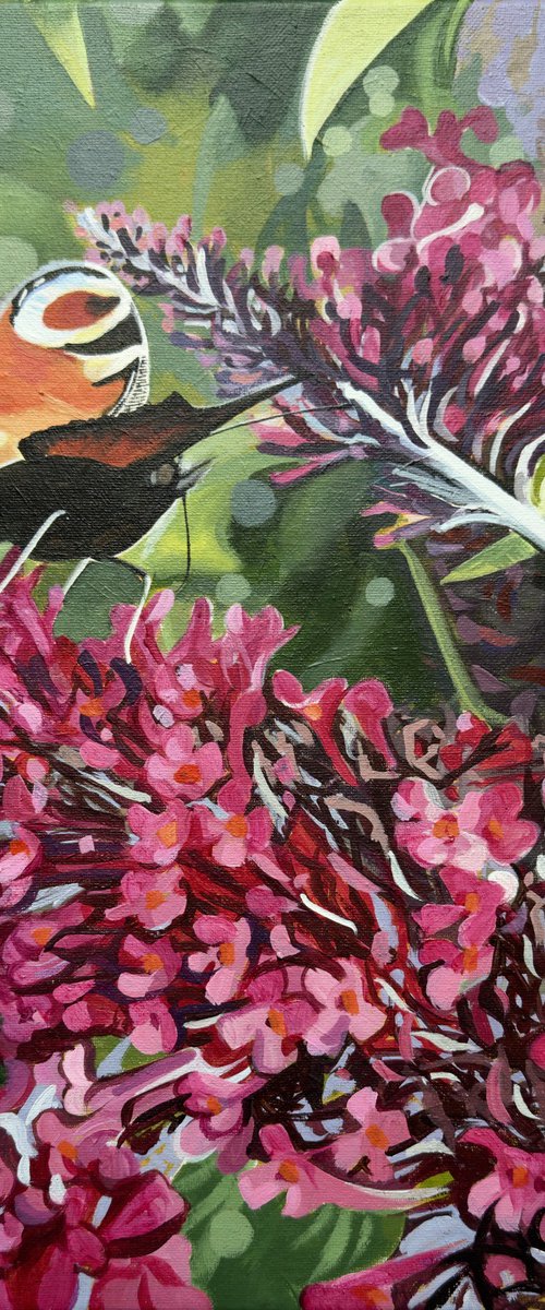 Butterfly On Buddleia by Joseph Lynch