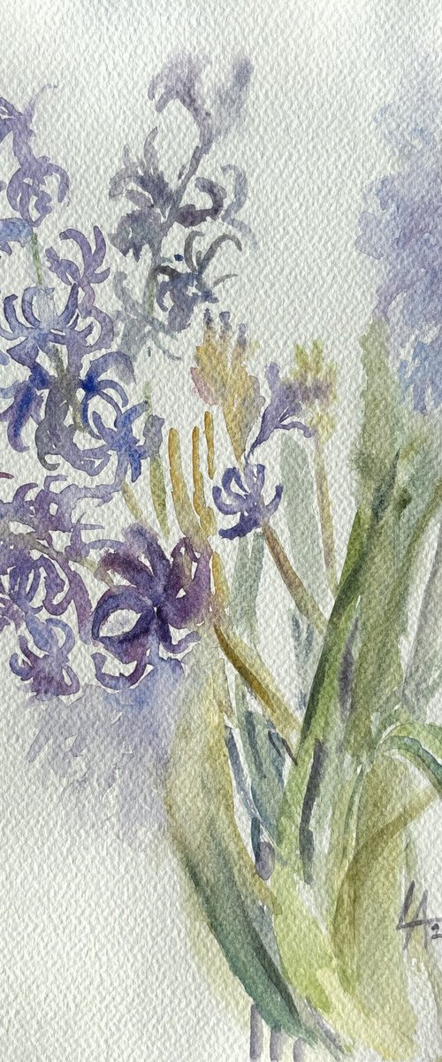 Hyacinths. Spring Awakening. by Elena Lykhodid