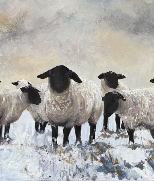 Black Face Sheep Winter by Teresa Tanner