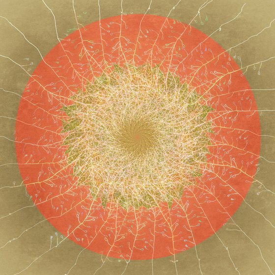 Floral Mandala #1