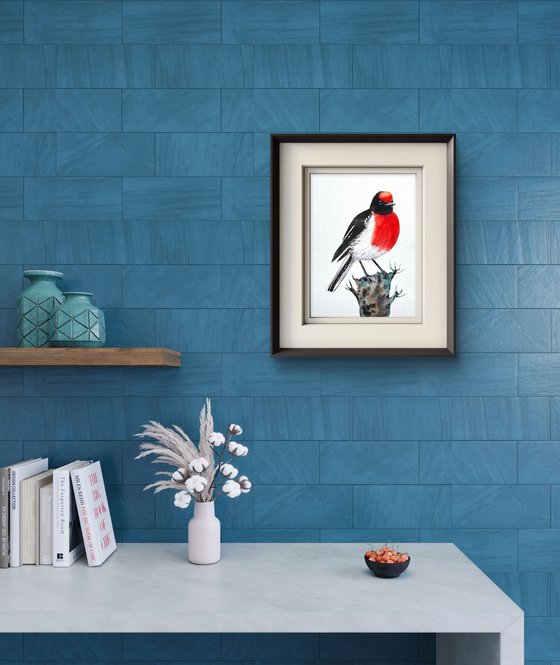 Red-capped Robin
