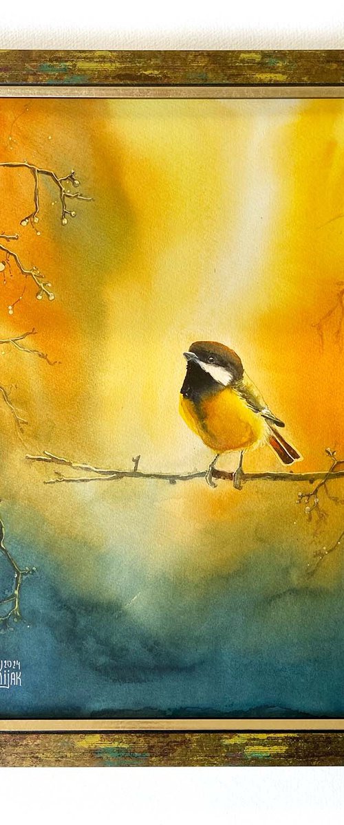 Great tit in march sunset by Karolina Kijak