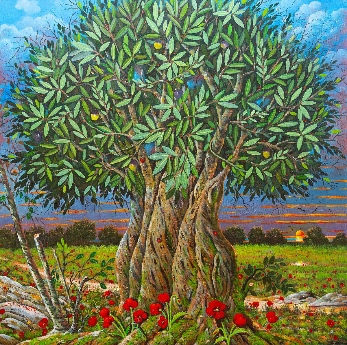 Centenarian olive tree by Margarita Telianidis