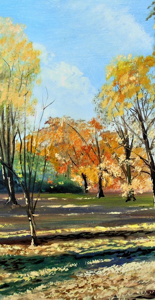 Autumn sunlight and Shadows by Rod Bere
