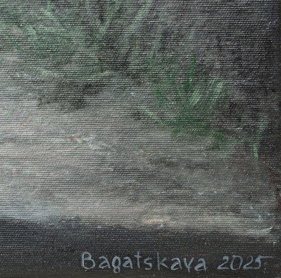 The Illusion of Safety