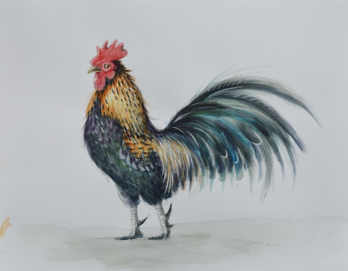 cockerel by Alison Brodie