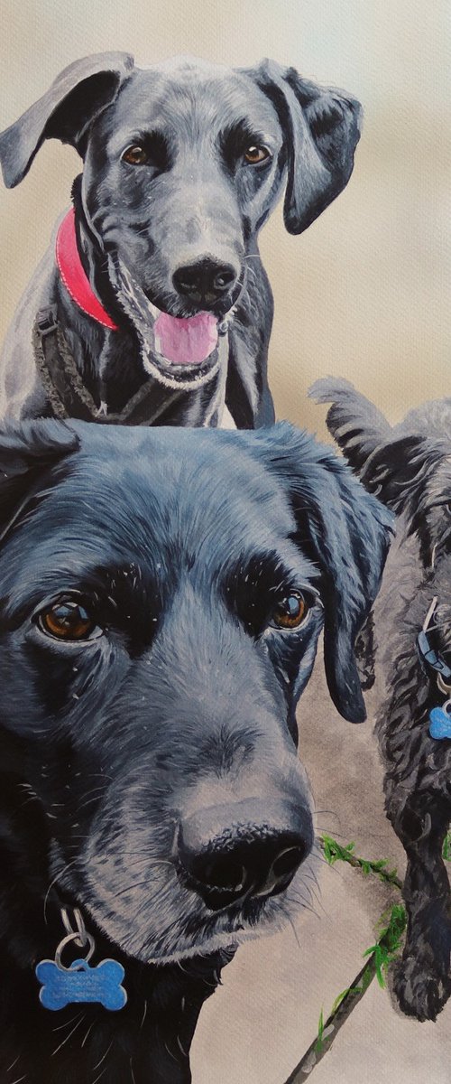 Tosca,Lyra,Polly by Julian Wheat