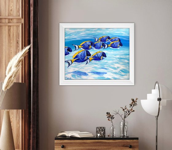 Blue Tang Fish School