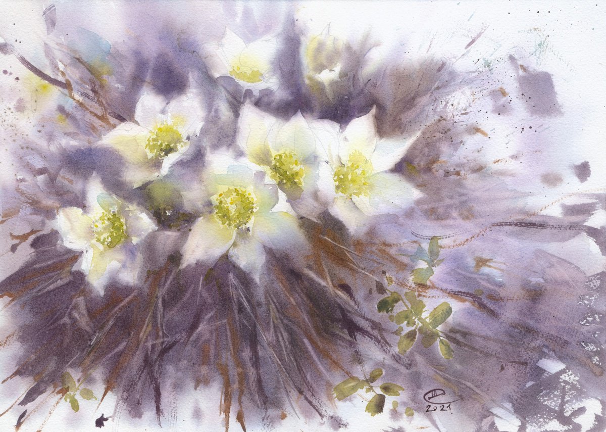White flowers. Spring. Primroses by Tatyana Tokareva