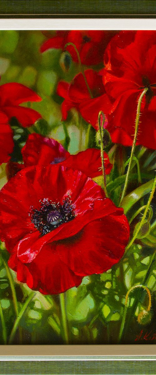 "Scarlet poppies" flowers poppies realism liGHt original painting   GIFT (2018) by Anna Bessonova (Kotelnik)