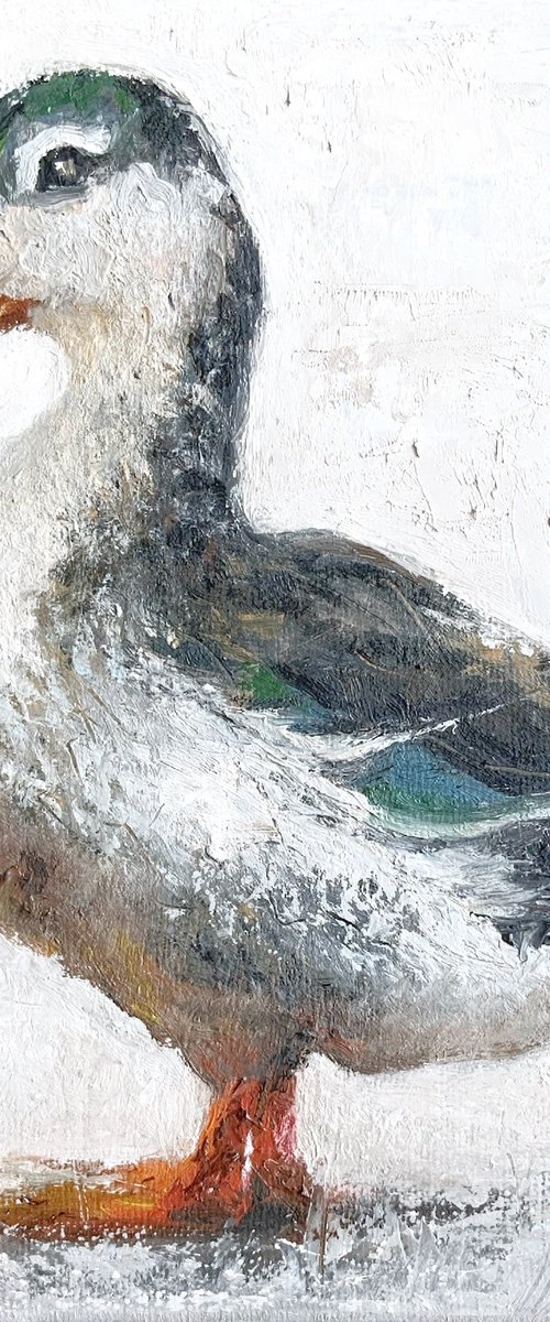 Mallard Duck by Alena Post