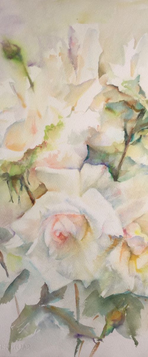 Bush of white roses by Irina Bibik-Chkolian