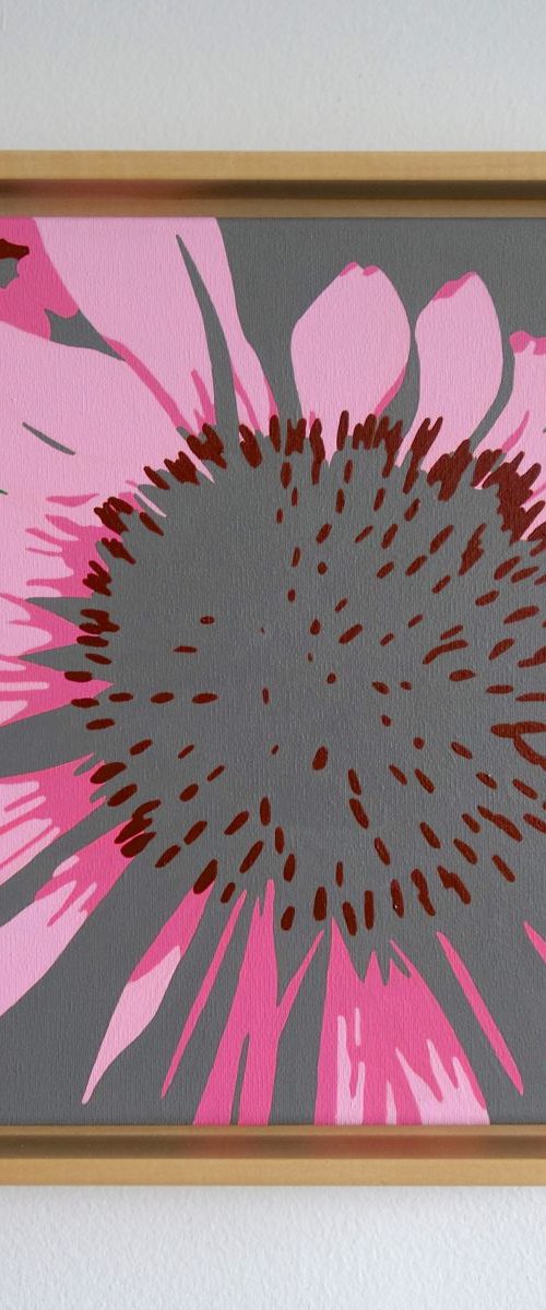 Pink Echinacea by Susan Porter