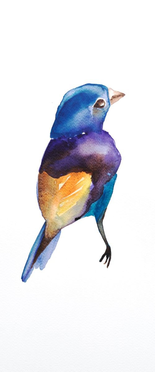 Bird by Nadia Moniatis