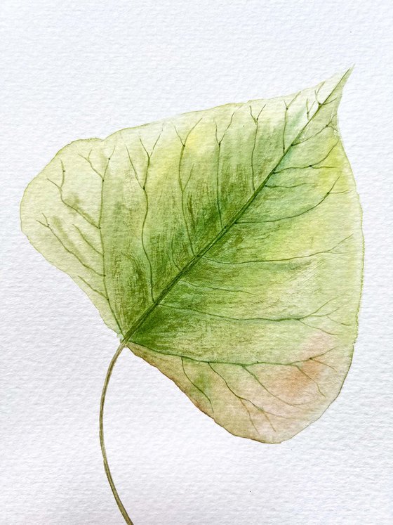 Autumn leaf Sketch #5