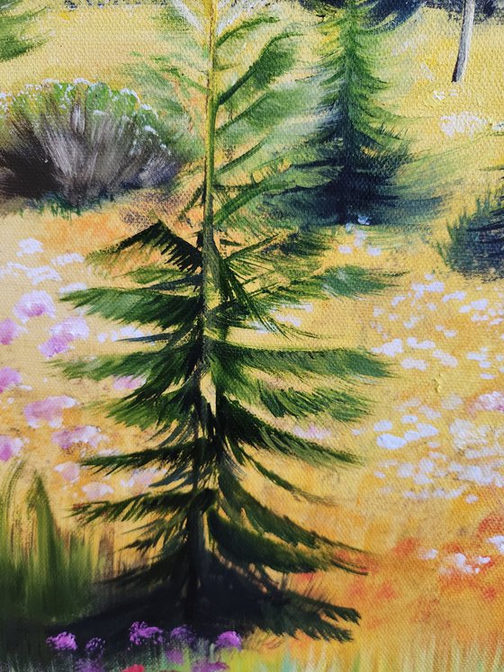 Sunlit Meadow.