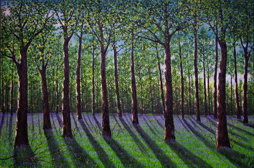 Spring Time in the Forest. 100cm X 150cm by Hazel Thomson
