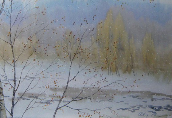 Snow goes