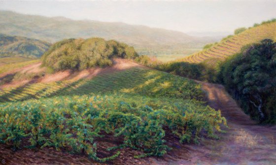 Morning in Sonoma Wine Country