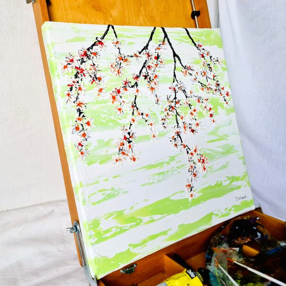 Cherries in the spring 2