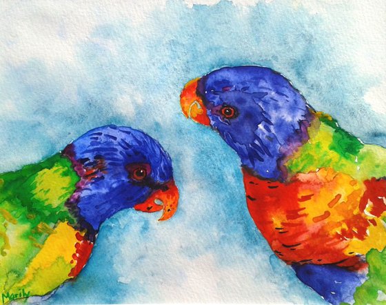 "Rainbow lorikeets"