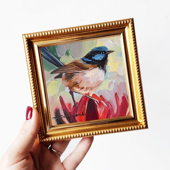 Fairywren bird painting