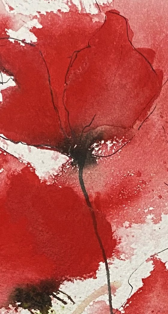 Abstract poppies