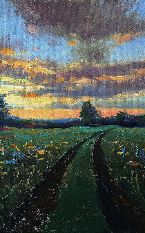 Sunset Over Wildflowers Field by Nikolay Dmitriev