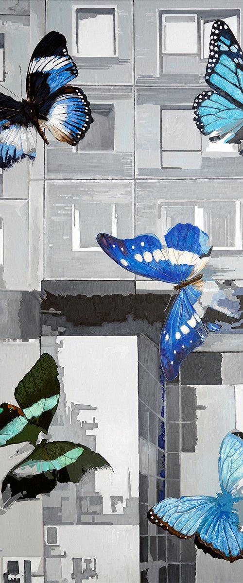 LEPIDOPTERA by Uwe Fehrmann