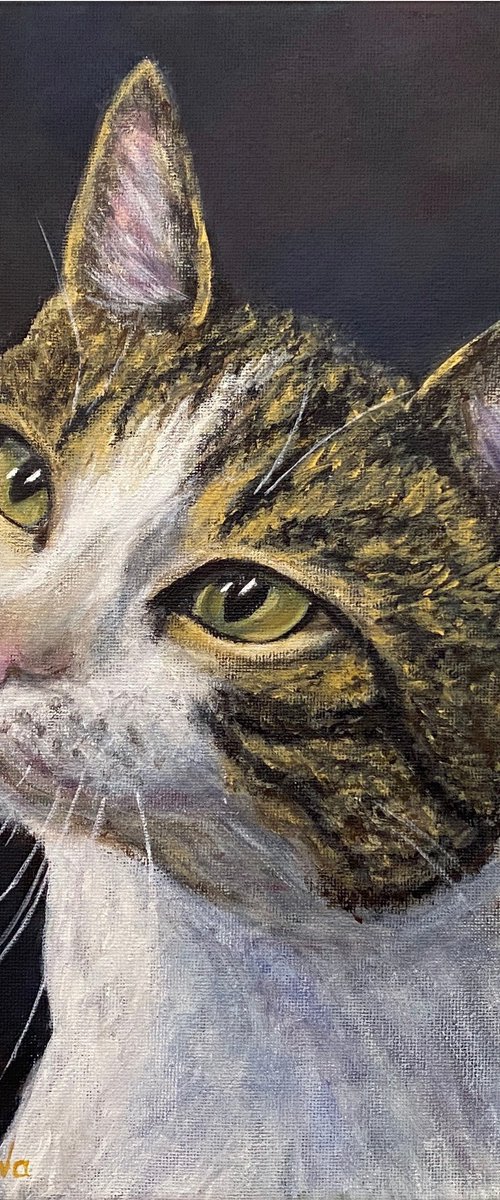 Soulful eyes by Olga Kurbanova